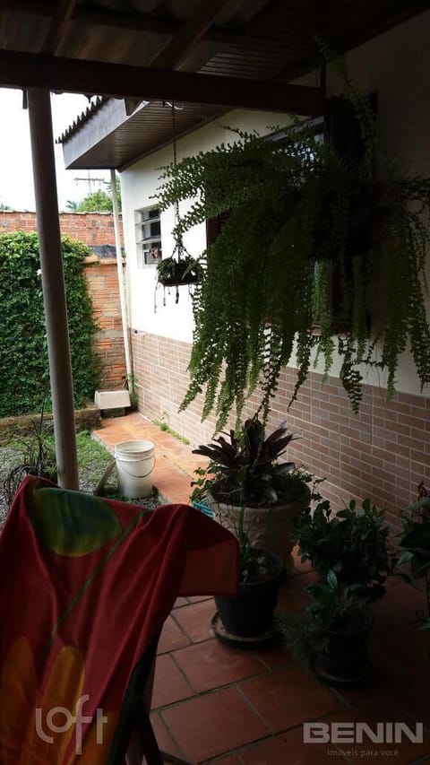 Image 11 - 275008